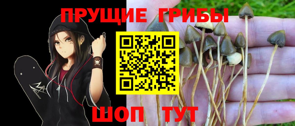 Галлюциногенные грибы мухоморы  Вход с VPN  Клин  Псилоцибиновые грибы GOLDEN TEACHER 